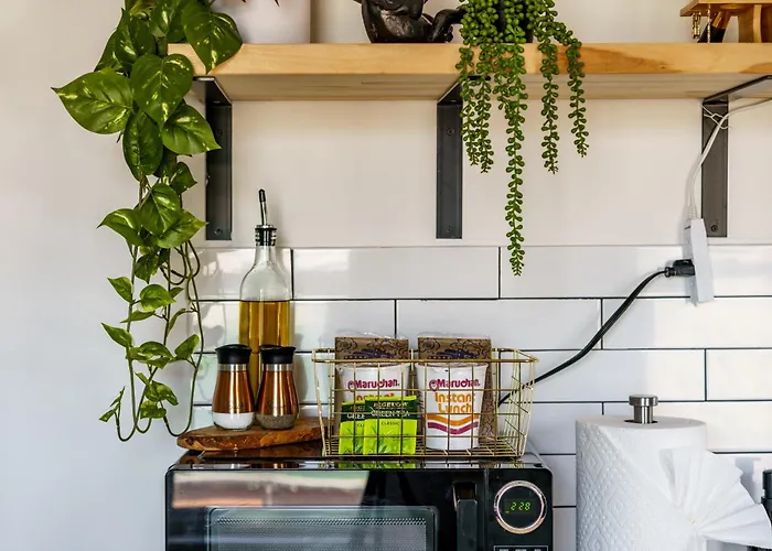 Jungle House Historic Lofts - Downtown Free Parking *